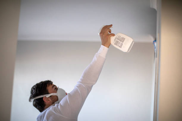 Best Mold Testing and Inspection Services in Freeland, WA